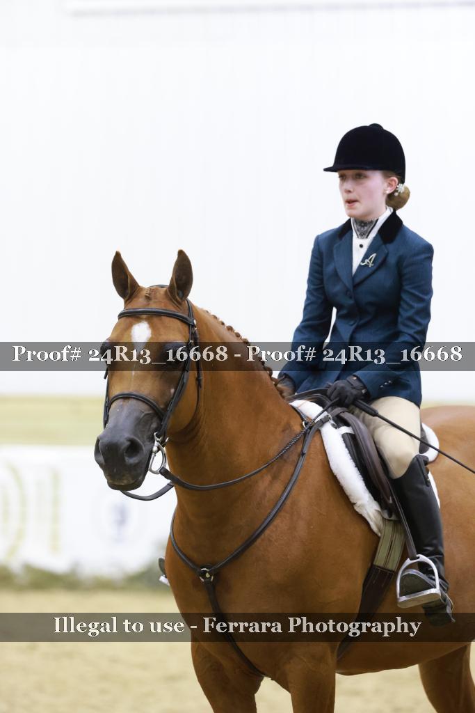 Proof Number 24R13_16668