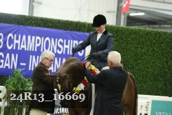 24R13_16669 thumbnail