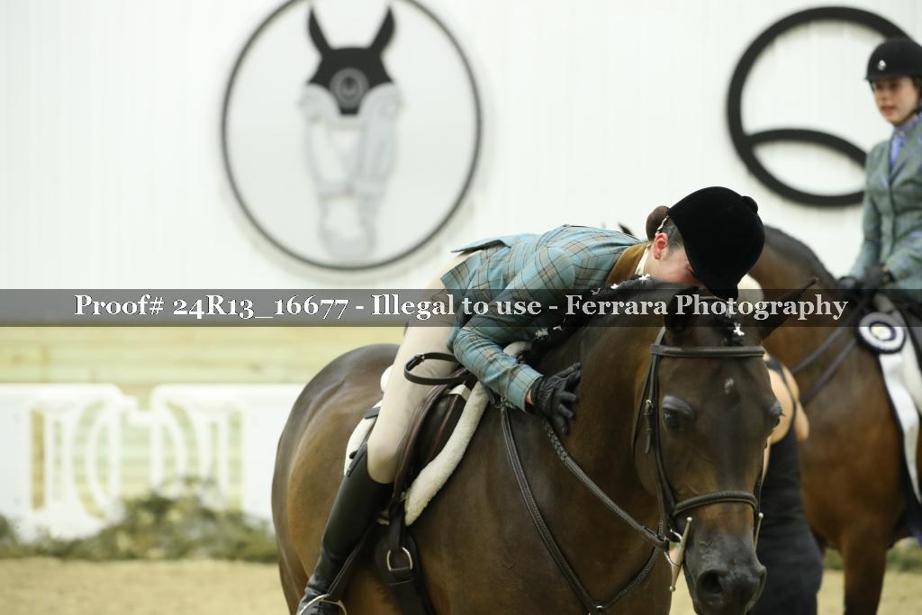 Proof Number 24R13_16677