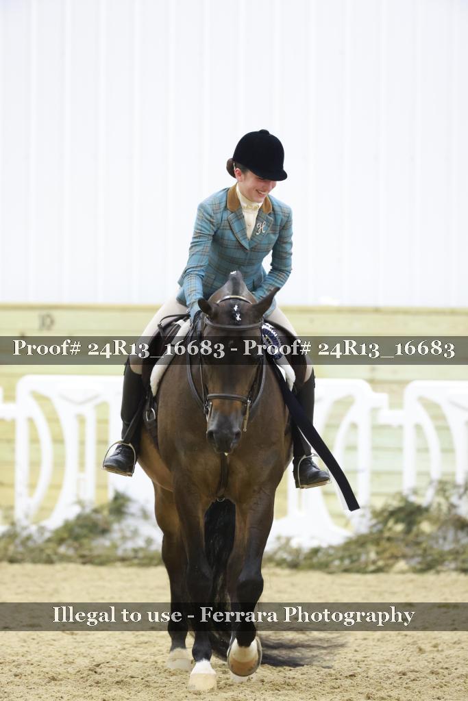 Proof Number 24R13_16683