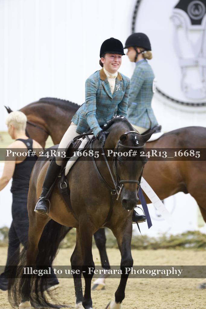 Proof Number 24R13_16685