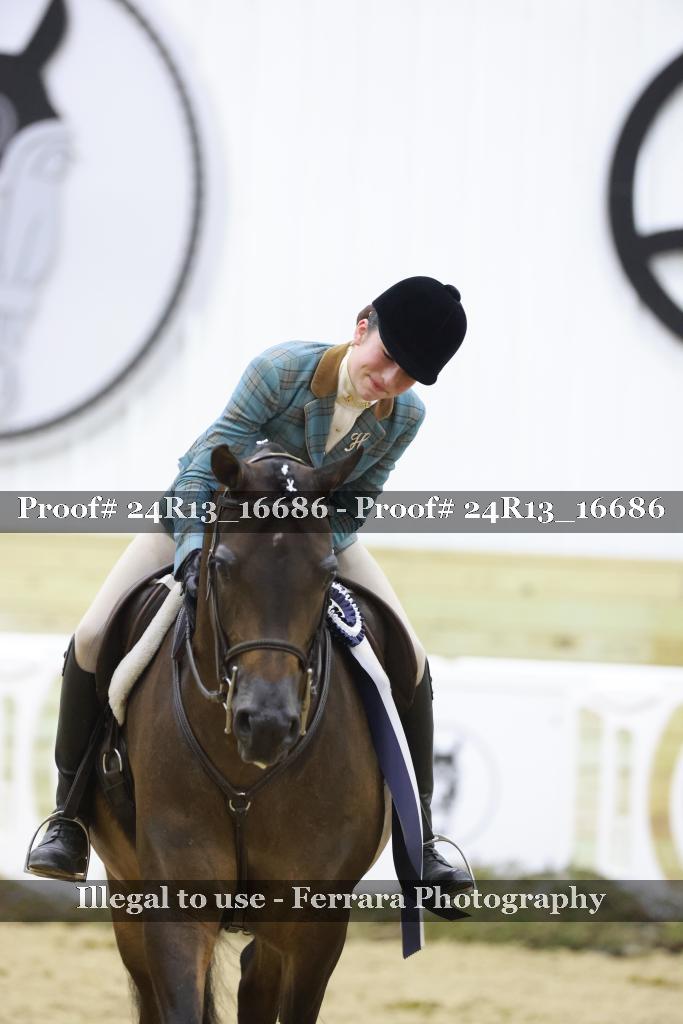 Proof Number 24R13_16686