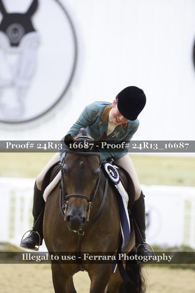 Proof Number 24R13_16687