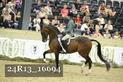 24R13_16694 thumbnail