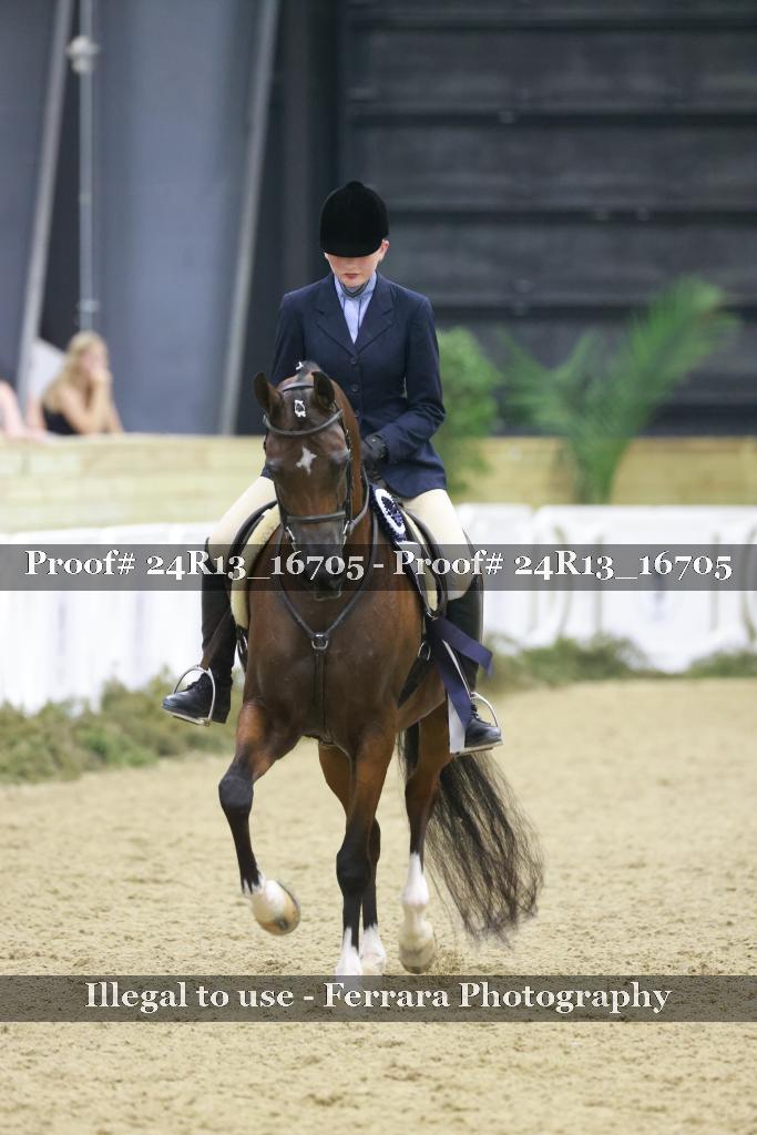 Proof Number 24R13_16705