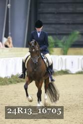 24R13_16705 thumbnail