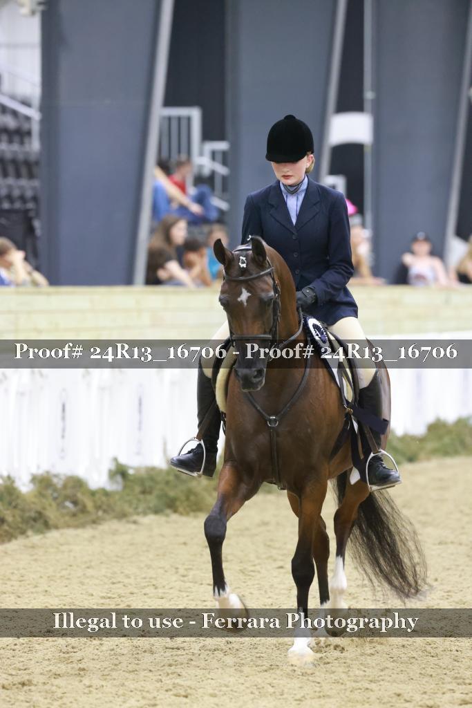 Proof Number 24R13_16706
