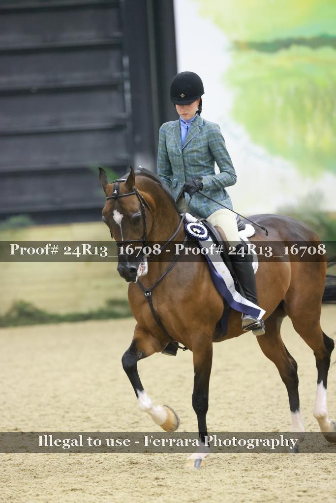 Proof Number 24R13_16708