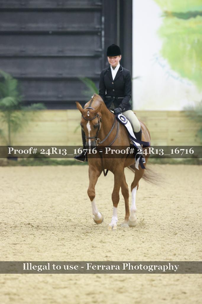 Proof Number 24R13_16716