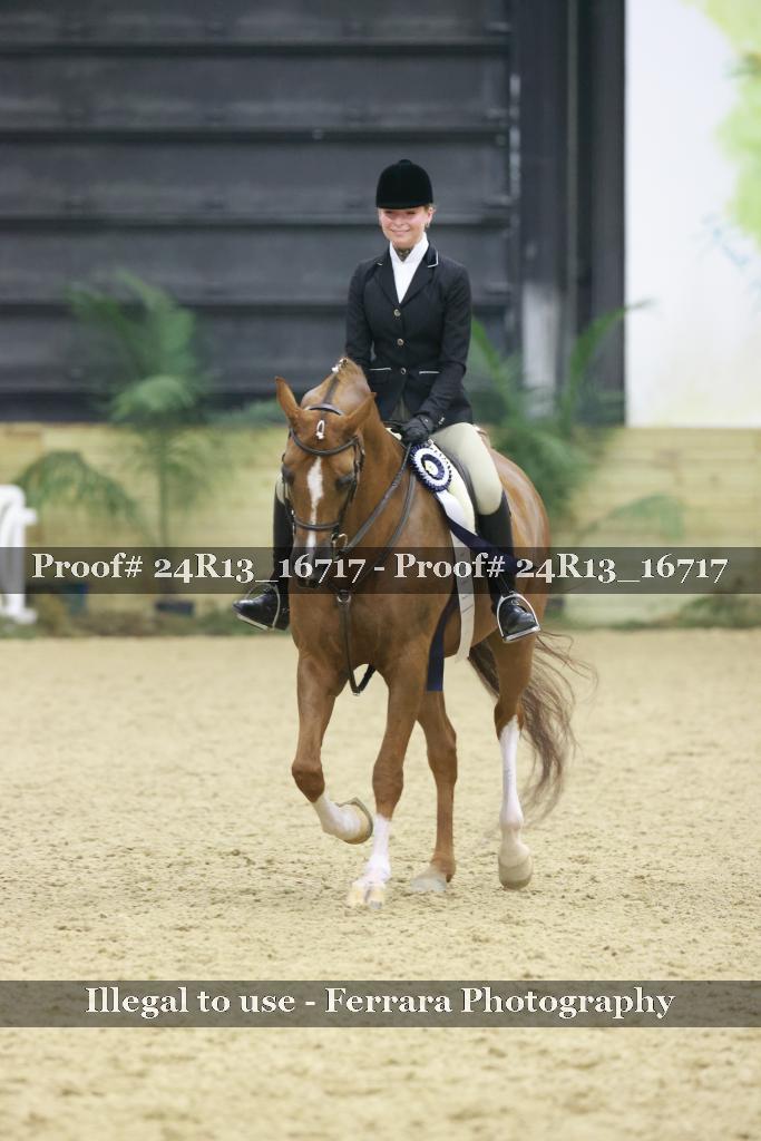 Proof Number 24R13_16717