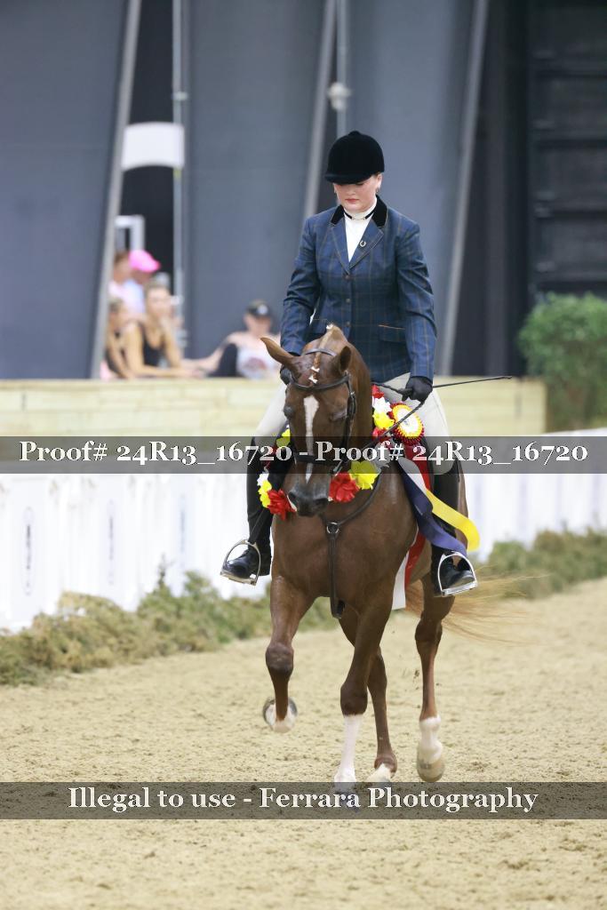 Proof Number 24R13_16720