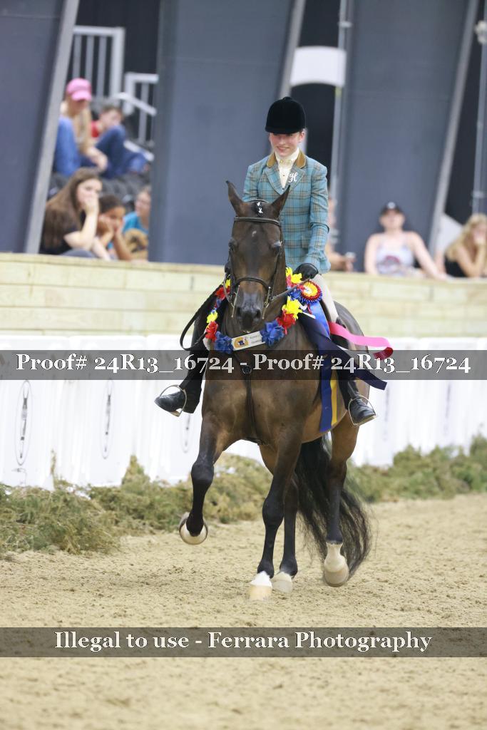 Proof Number 24R13_16724