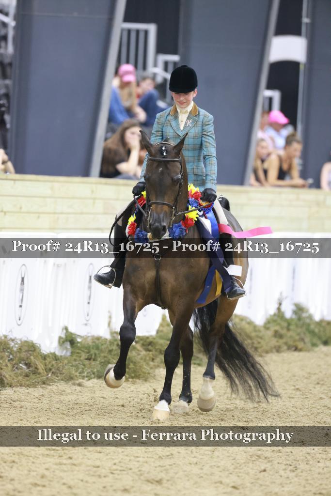 Proof Number 24R13_16725