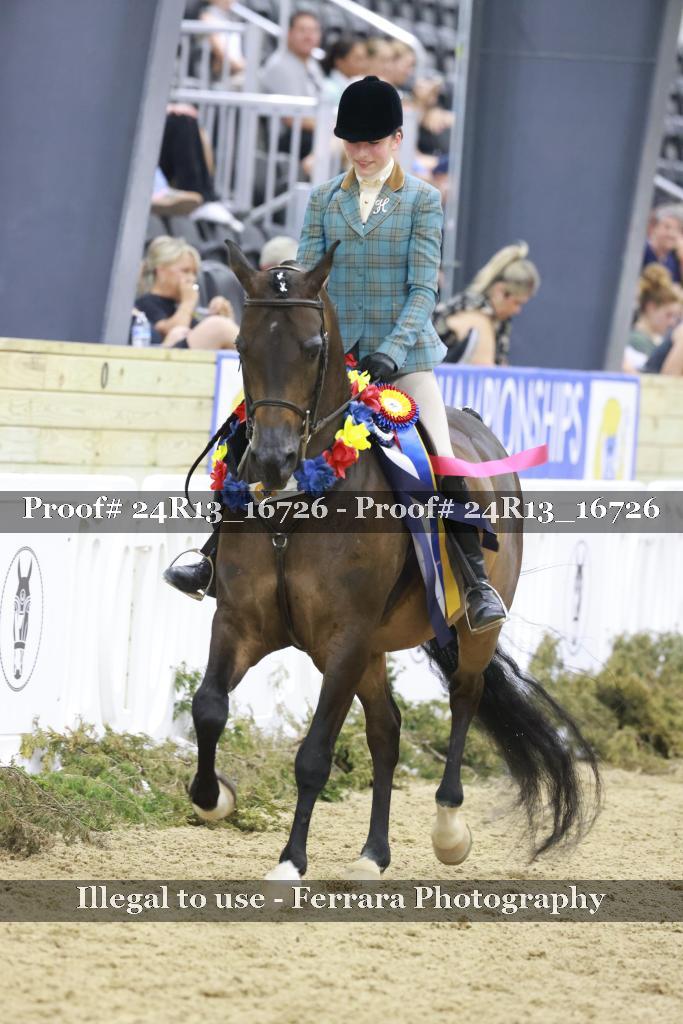 Proof Number 24R13_16726