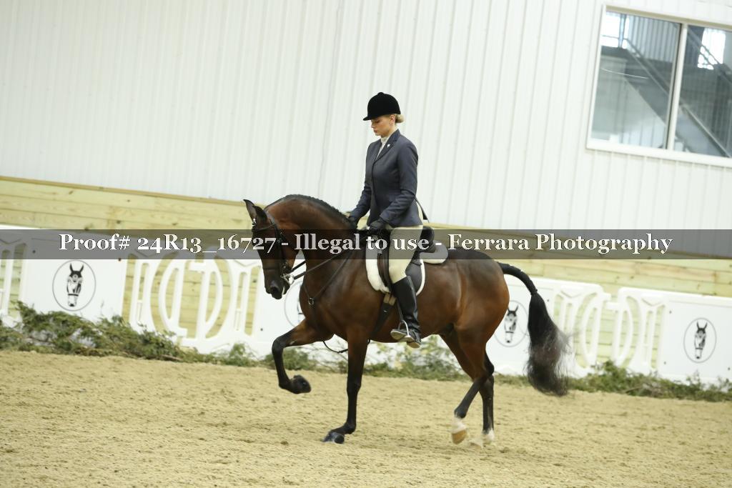 Proof Number 24R13_16727