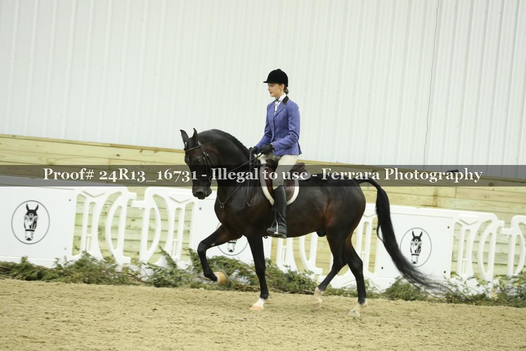 Proof Number 24R13_16731