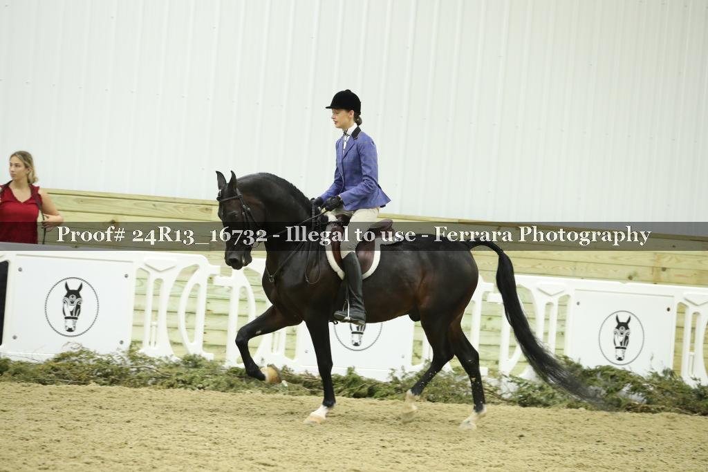 Proof Number 24R13_16732