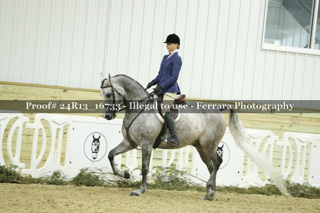 Proof Number 24R13_16733