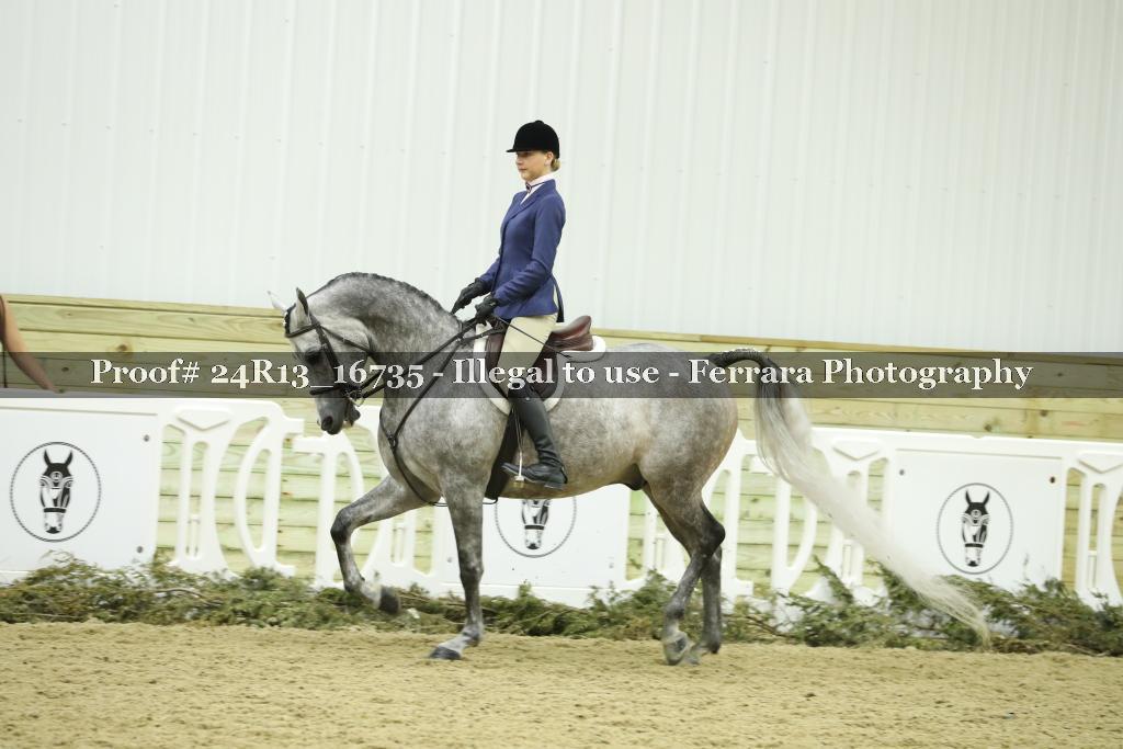 Proof Number 24R13_16735