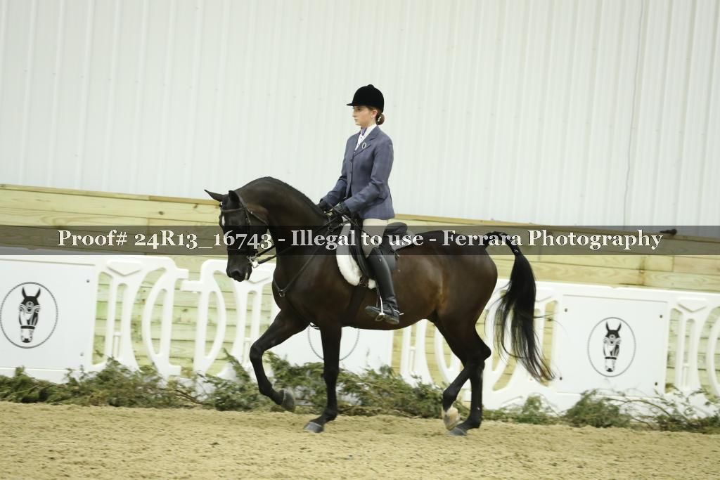 Proof Number 24R13_16743
