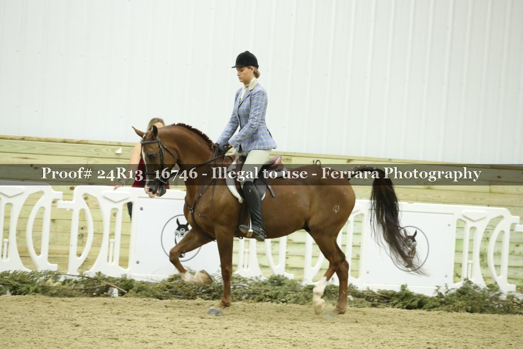 Proof Number 24R13_16746