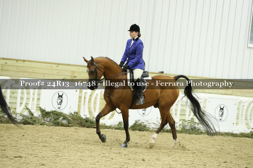 Proof Number 24R13_16748