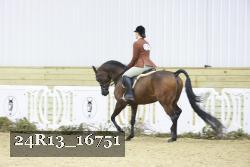 24R13_16751 thumbnail