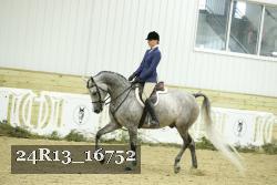 24R13_16752 thumbnail