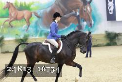 24R13_16754 thumbnail