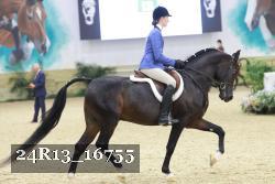 24R13_16755 thumbnail