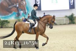 24R13_16756 thumbnail