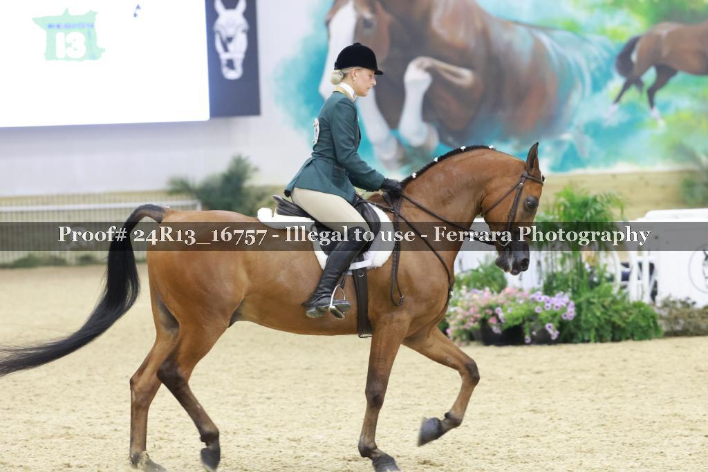 Proof Number 24R13_16757