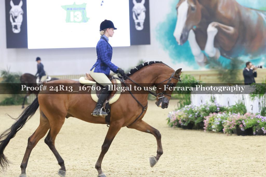 Proof Number 24R13_16760