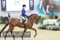 24R13_16760 thumbnail