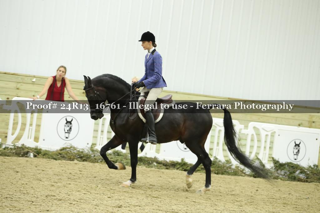 Proof Number 24R13_16761