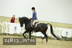 24R13_16761 thumbnail