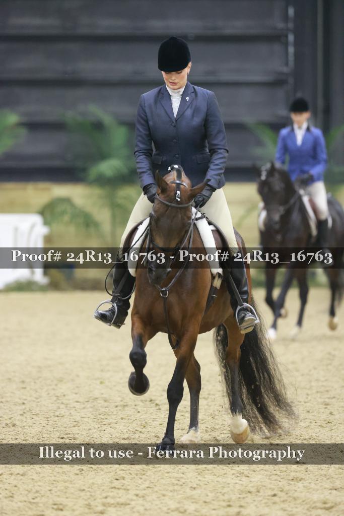 Proof Number 24R13_16763