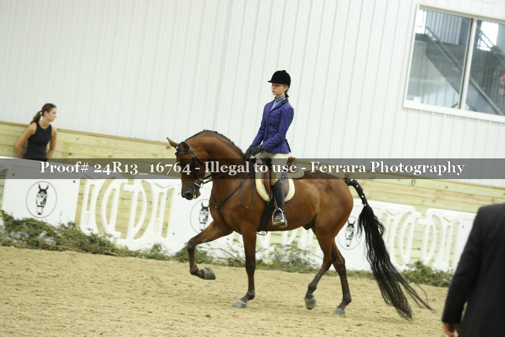 Proof Number 24R13_16764