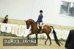 24R13_16764 thumbnail