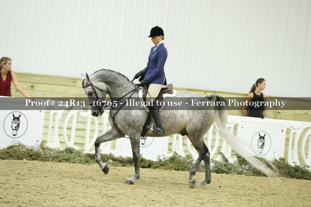 Proof Number 24R13_16765