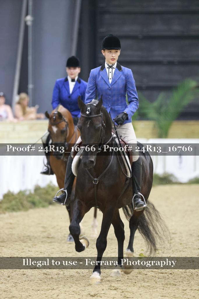 Proof Number 24R13_16766