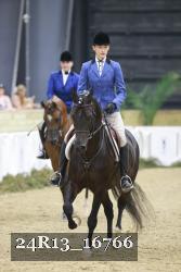 24R13_16766 thumbnail