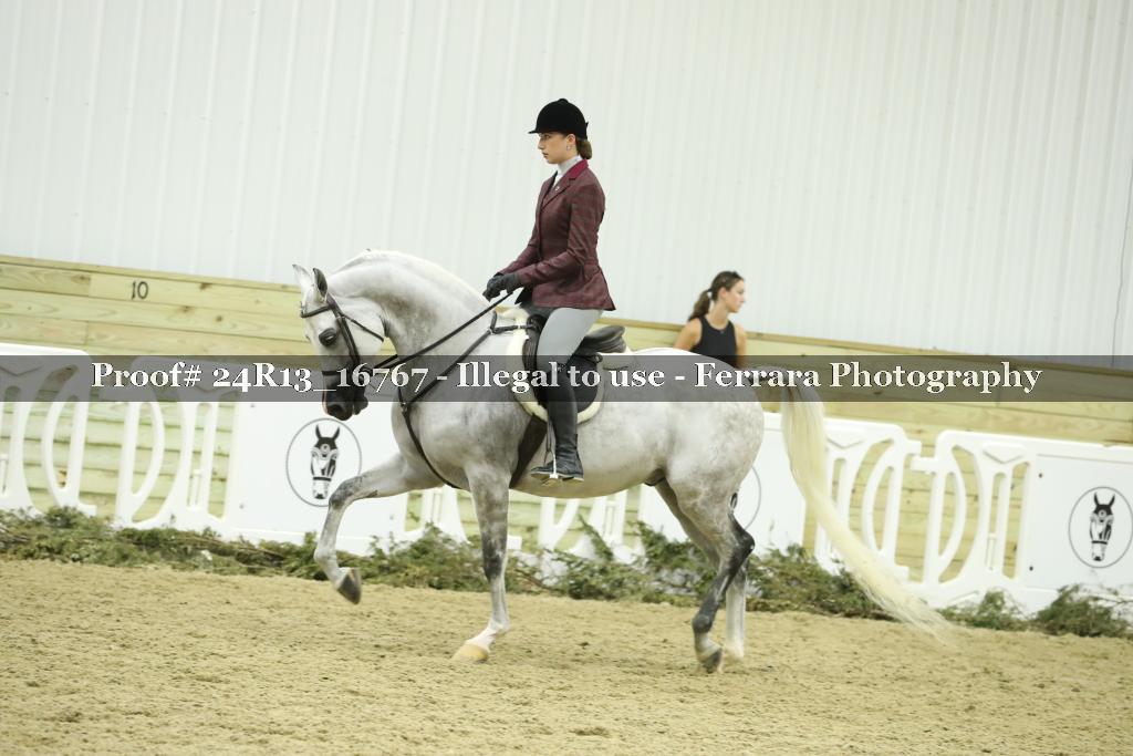 Proof Number 24R13_16767