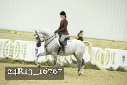 24R13_16767 thumbnail