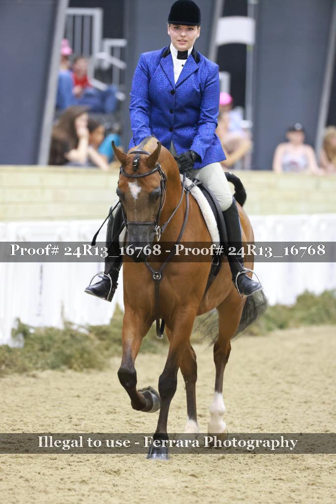 Proof Number 24R13_16768