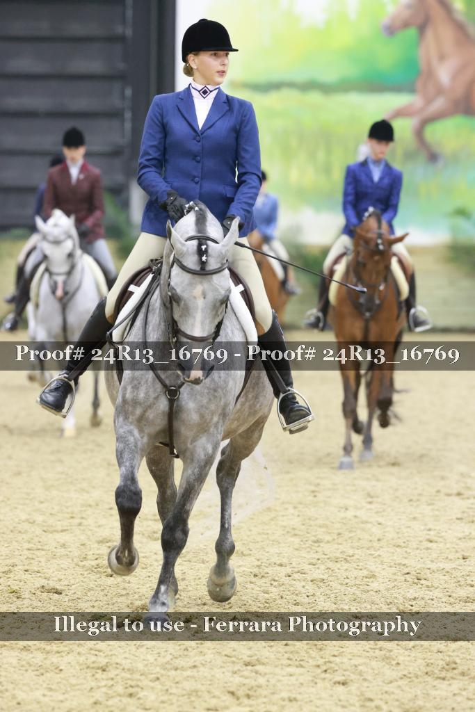 Proof Number 24R13_16769