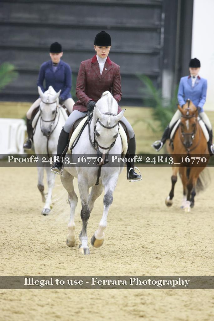 Proof Number 24R13_16770