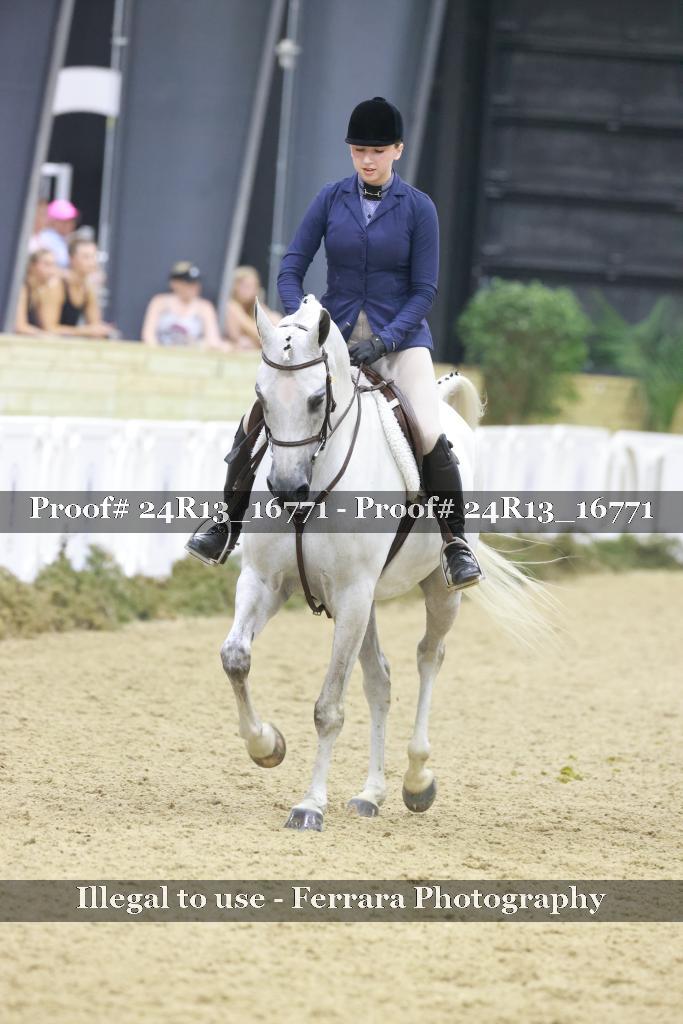 Proof Number 24R13_16771