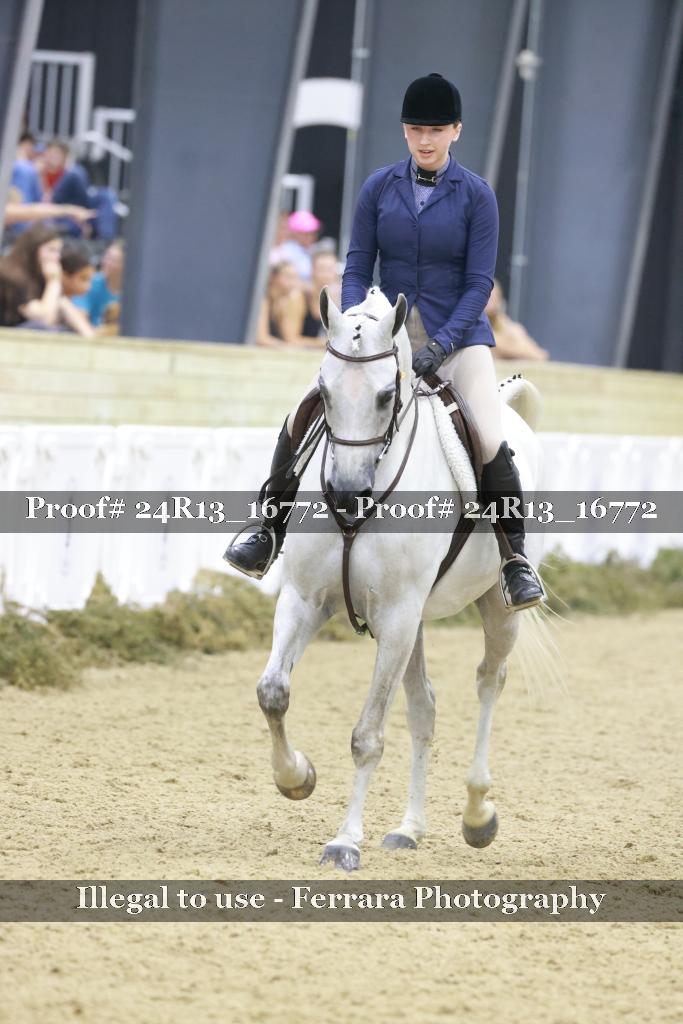 Proof Number 24R13_16772