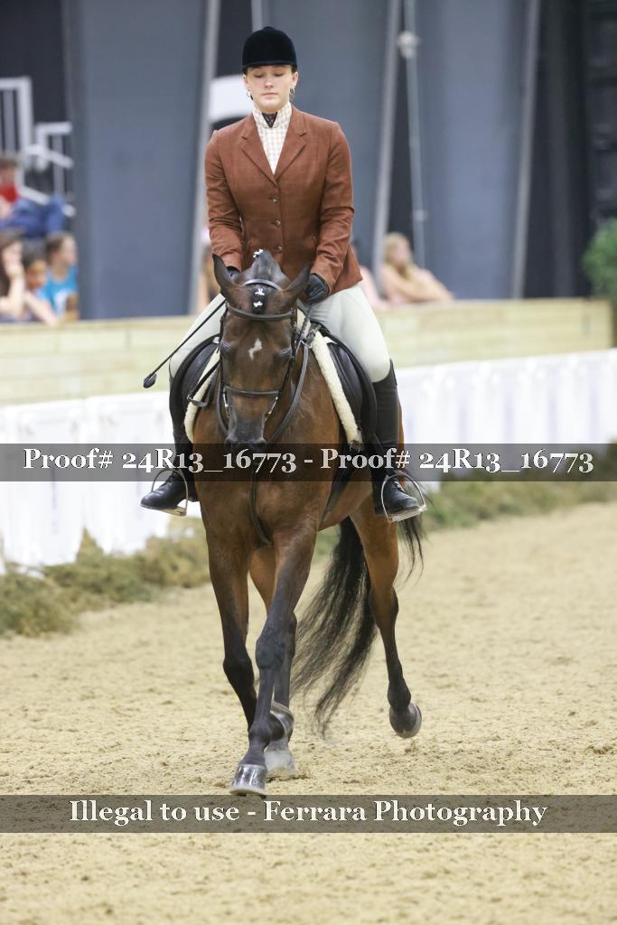 Proof Number 24R13_16773